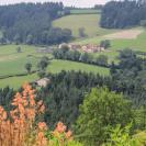 Vue depuis la yourte